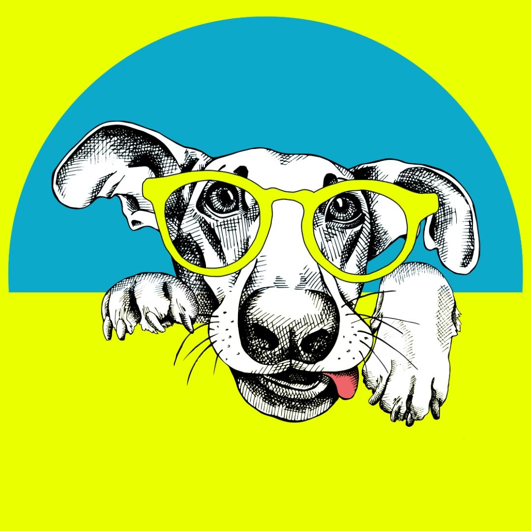 Illustration of a dog wearing bright yellow glasses on a blue and yellow background.