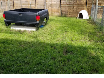 Fenced dog yard