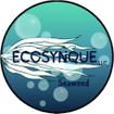 Ecosynque LLC 
Seaweeds
