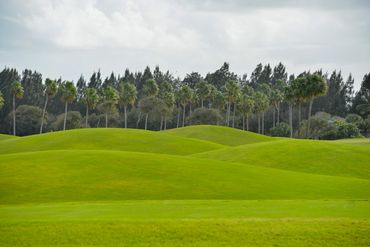 Golf Course Serenity.