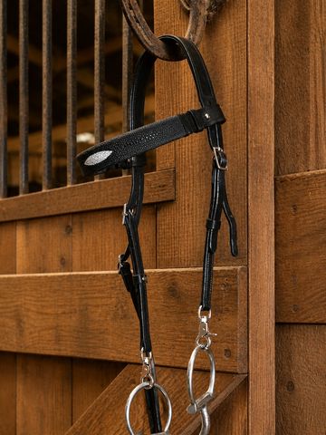 Black leather horse bridle hanging on a wooden stable wall.