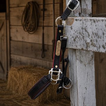 A leather horse halter hanging on a weathered wooden stable door.