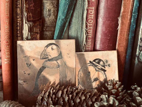 Vintage books with artistic puffin drawings and pine cones in front.
