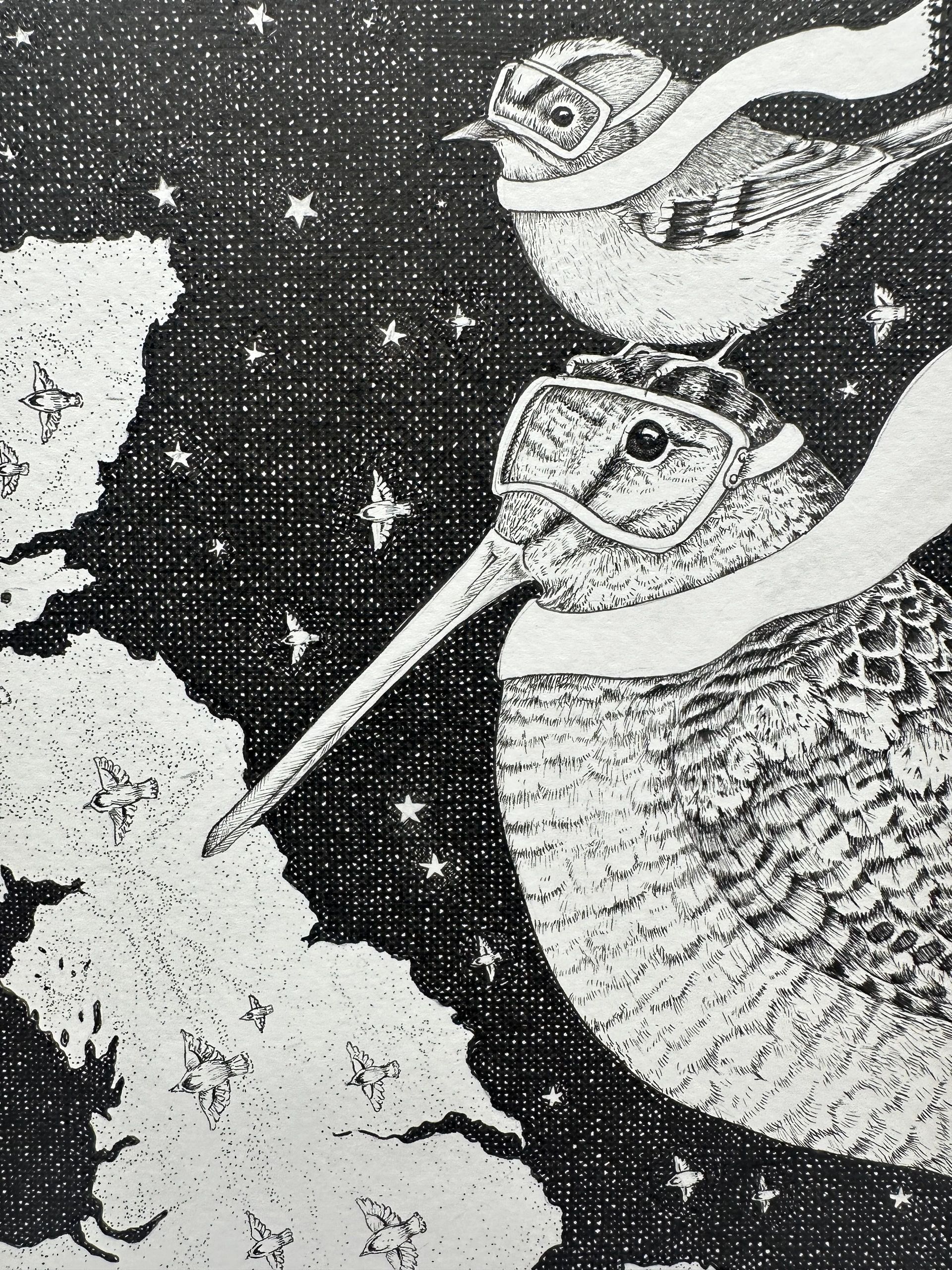Black and white drawing of two birds wearing goggles and scarves in a starry sky.