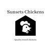 Sunsets Chickens