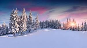 H.A.L.O. Educational Systems - TMS Clinic in Canaan, NH