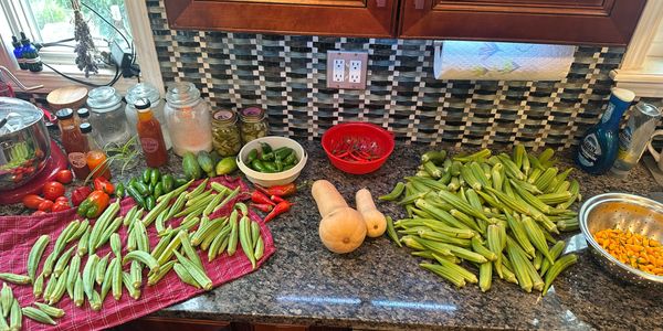 Fresh vegetables and jars on kitchen counter.