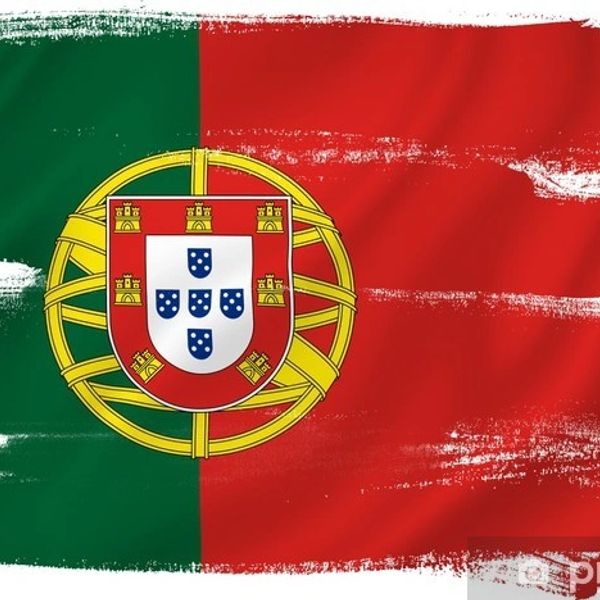 Grunge style flag of Portugal with green and red background.