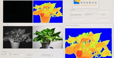 植物的可见光和热成像对比图。