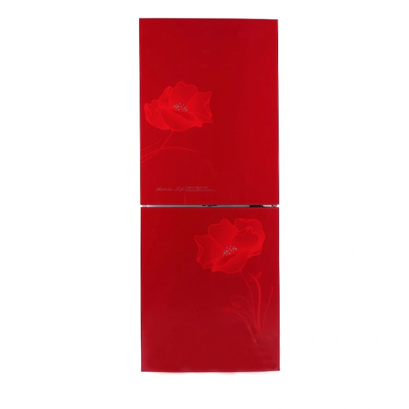 Top Freezer Refrigerator Model 6