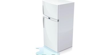 Cooper's Cool Fridge and Freezer - Nextdoor