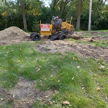Completed stump grinding