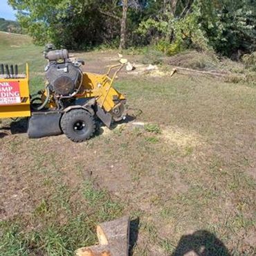 Starting to stump grind