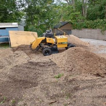 Huge stump grinding completed