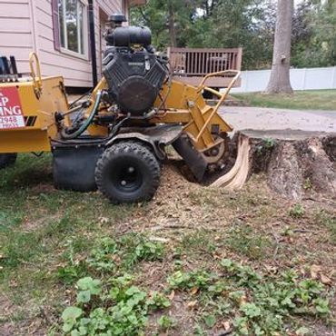 Started s large stump grinding