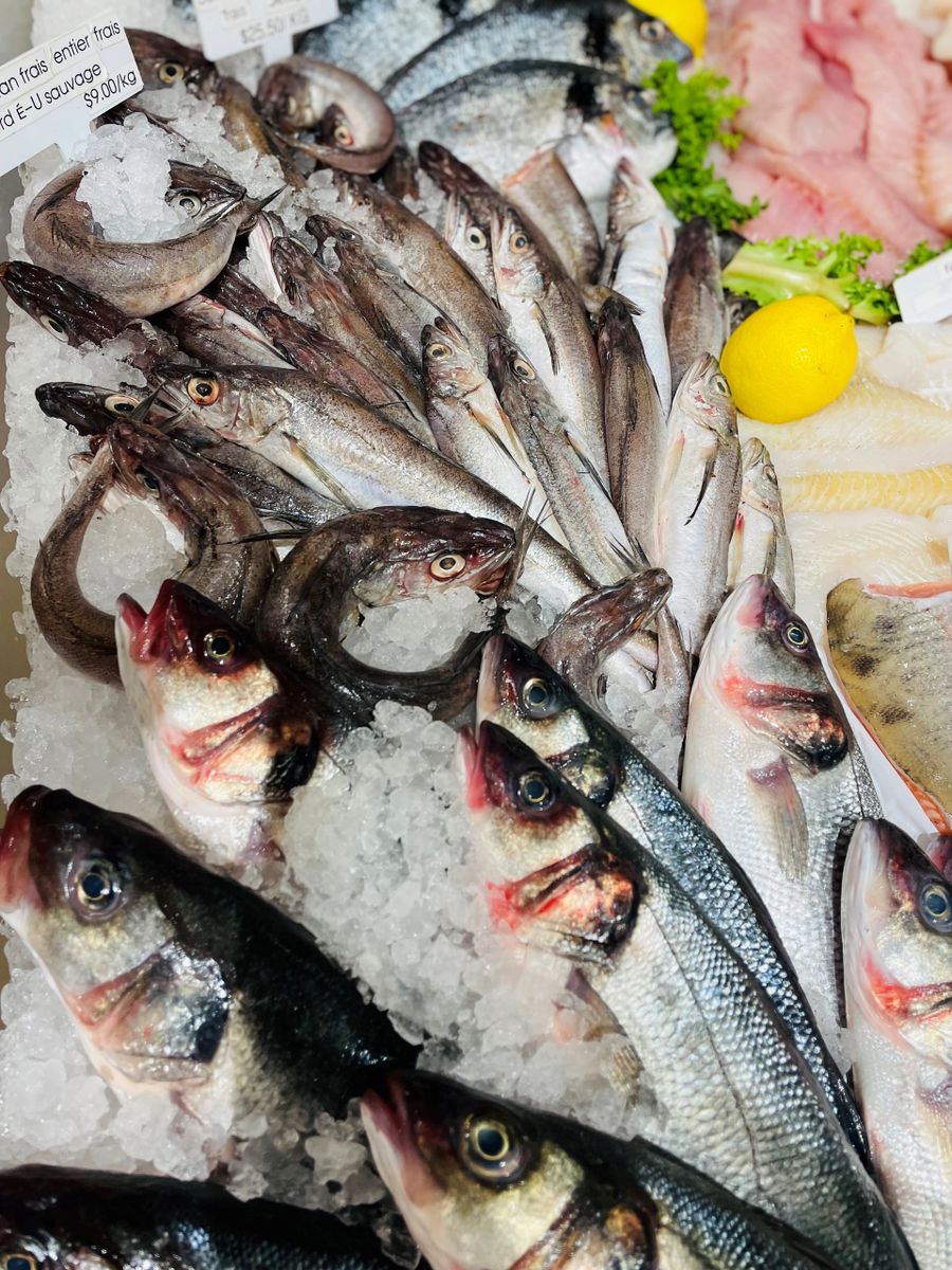 barikādes ir eja difference entre poisson frais et congele pieeja bezdarbs ļengans