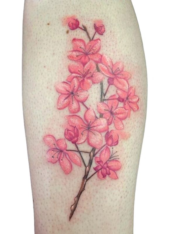 Cherry blossom tattoo by Duncan stone 