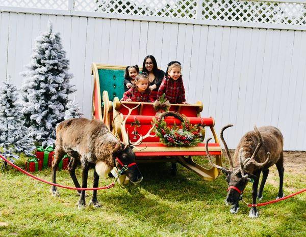 Family on red sleigh with reindeer in a festive scene.