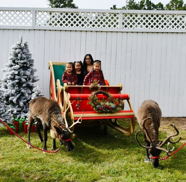 Family in festive sleigh with reindeer in front of white fence.