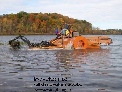 Hydro-raking cattails, phragmites, bullrush removal