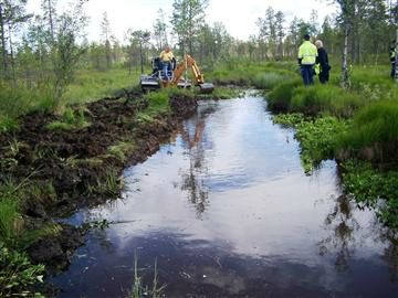 wetlandmanagementpicture