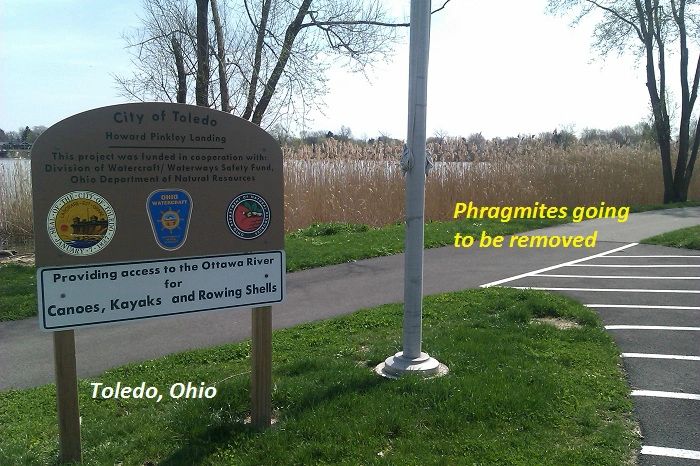 Invasive Aquatic Control in Ohio