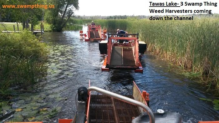 Aquatic Lake Weed Removal