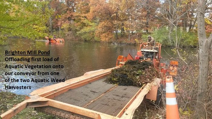 Aquatic Weed Harvesting for Michigan