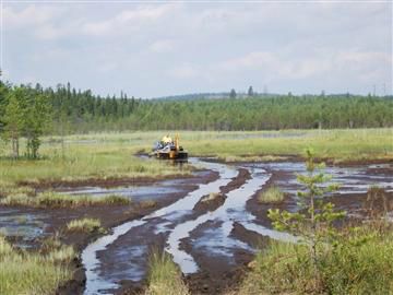 wetlandrestoration