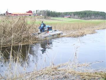 Invasive Aquatic Weeds Removing Phragmites for MI, WI, IN, OH