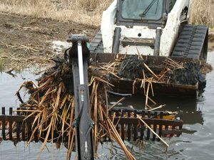 Aquatic Weed Services for Indiana