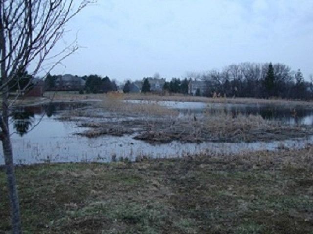 Pond Dredging Illinois near Wisconsin