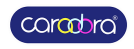 Caradora International