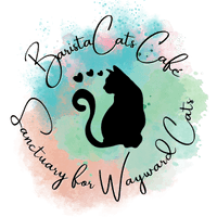 BaristaCats Café 
Whitewater, WI 