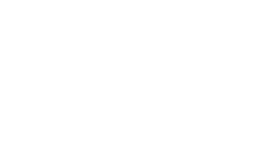 Executive Transportation