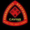 Cavins Construction Group