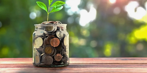 A glass jar filled with coins and a small plant growing from the top.
