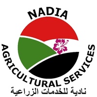 بسم الله الرحمن الرحيم