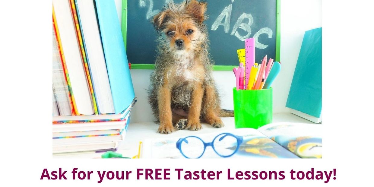 Poster showing puppy with a blackboard and books