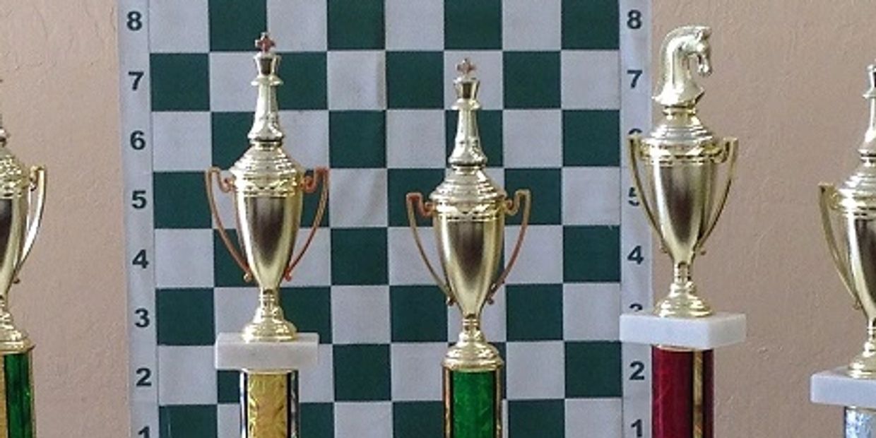 Studygascar Chess Classes Saratoga, Chess Classes Cupertino