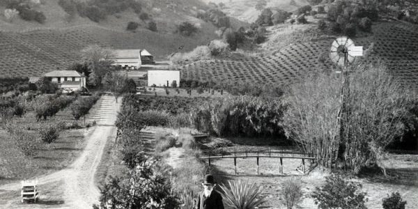 The Strentzel Ranch in Alhambra Valley