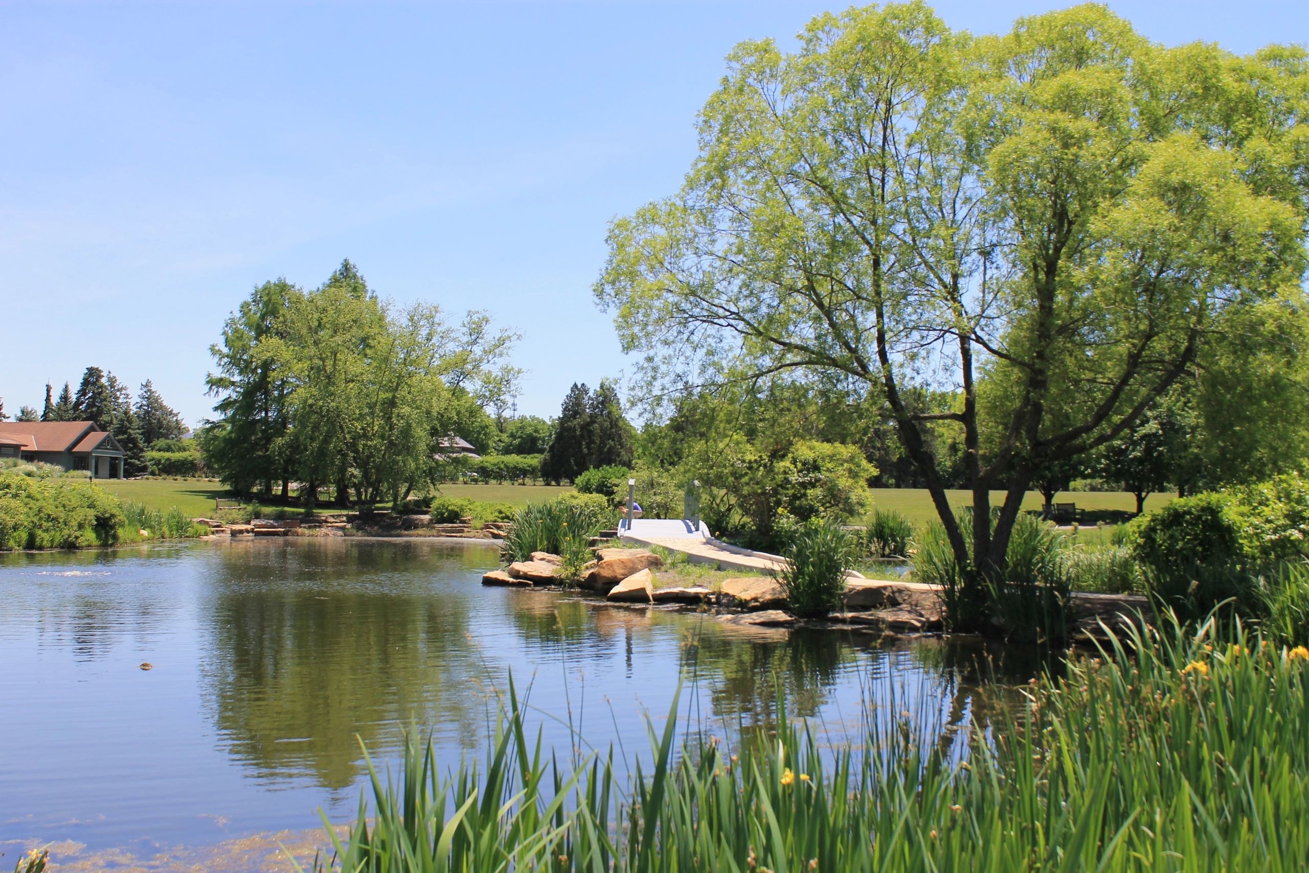Cox Arboretum Death: Shocking Details Revealed - bb9bjfu