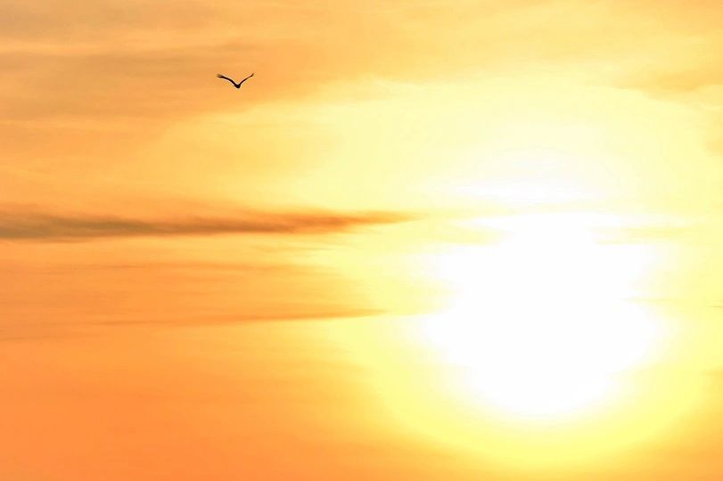 https://pixabay.com/de/photos/europ%C3%A4ische-diagramm-reverse-licht-3337849/
