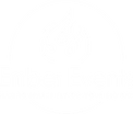 Ember Events