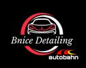 Bnice Detailing, Tint, PPF and Undercoat