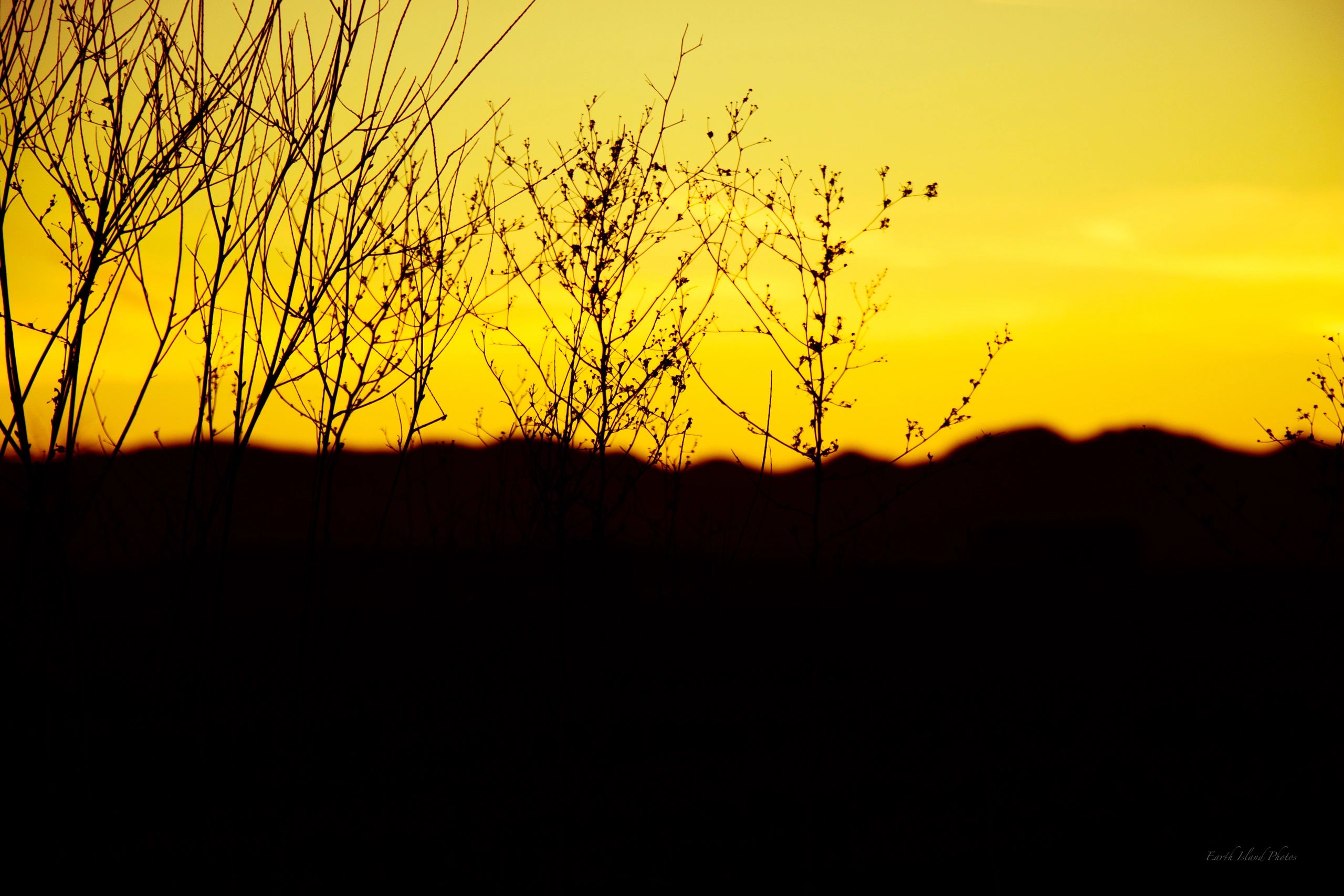 Colorado Sunset