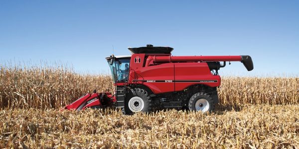 A red combine harvester working in a cornfield under clear blue sky.