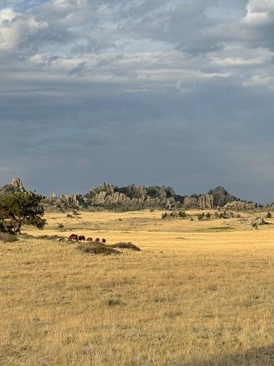 Wide open field with horses grazing and rocky hills under a cloudy sky.