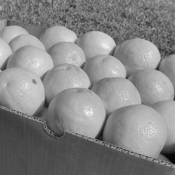 A box with 80 oranges from California, variety Navel. Aprox 40Lb of produce of the finest quality.