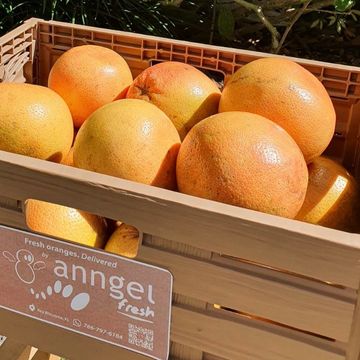 A box with approx 17 Grapefruit from Florida, variety Pink or white